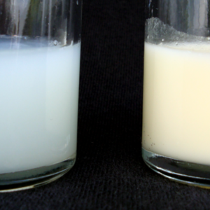 800px-human_breastmilk_-_foremilk_and_hindmilk.png