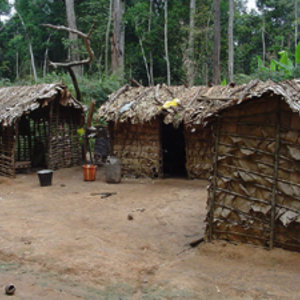 800px-pygmy_house_outsideview.jpg