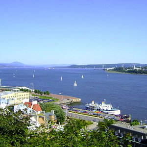 800px-qdsc00784.jpg