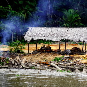 Amazonie.jpg