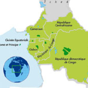 Centralafrica-wikiforets.jpg
