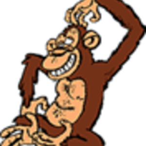 Chimpanze.gif
