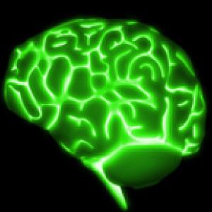 DT_brain_ok.jpg