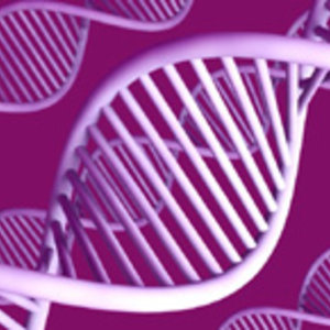DT_genes-mauves_ok.jpg