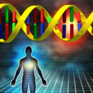 DT_genetic_ok.jpg