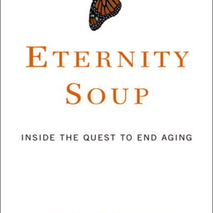 EternitySoup.jpg