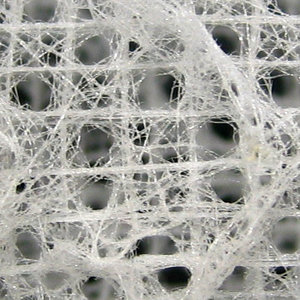 Euplectella_sp_fibre.jpg