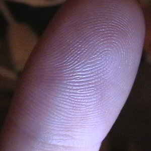 Fingerprintonfinger.JPG