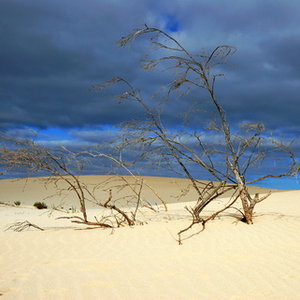 GlobalWarming.jpg