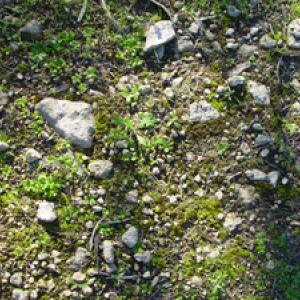 Ground_Pattern.jpg