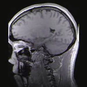 Image_8.png