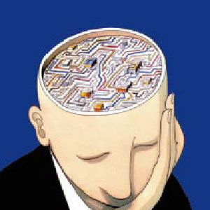 Images_tete_coupee_voit_cerveau.jpg