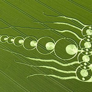 Jellyfish-crop-circle-001.jpg