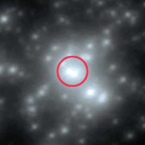 R136a1.jpg