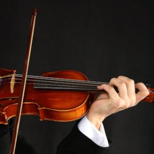 Violon.jpg