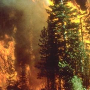 Wildfire_in_California.jpg