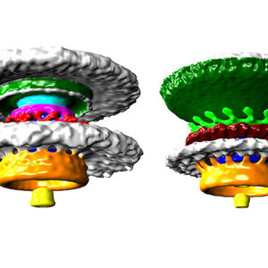 abacteria2-tojpeg-1200x800.jpg