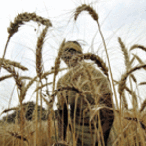 agriculture.gif