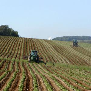 agriculture.jpg