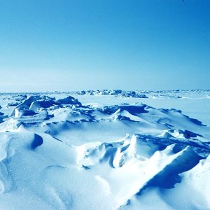 alaska_beaufortsea_harleyd.nygren_wc.jpg