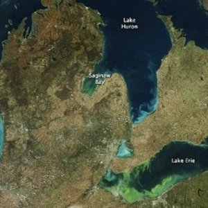 algues-lacerie.jpg