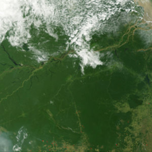 amazon-the_amazon_rainforest-bresil-nasa.jpg
