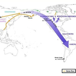 amerindiens-migrations-2015-science.jpg