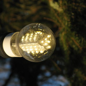ampoule_lpfi_wc.jpg