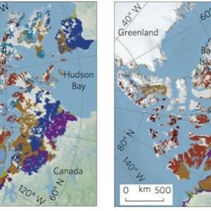 arctique-vegetation.jpg