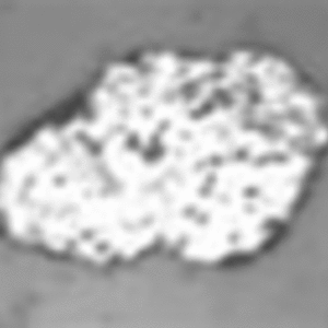 arton999.gif