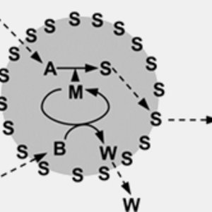 autopoiese_seance_2.jpg
