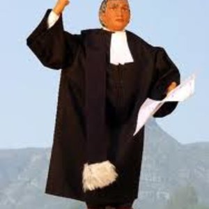 avocat.jpg