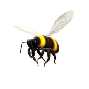 bee-one.jpg