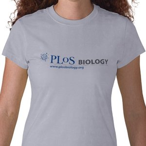 bella_t_shirt_grey-p235429379606215635yd0g_400.jpg