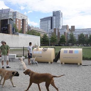 biogaz_dogpoop.jpg