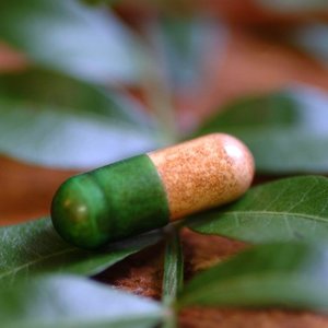 bioprospection-blogue_2.jpg