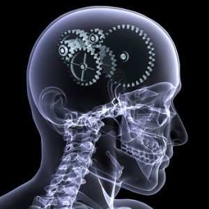 brain_gear.jpg