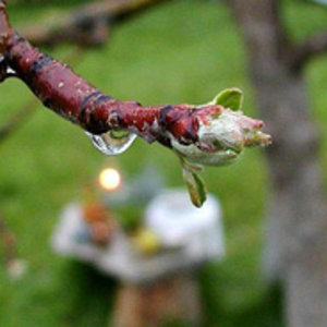 branch-jon-sullivan.jpg