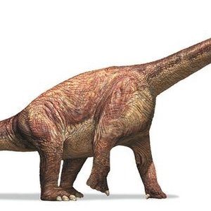 camarasaurus.jpg