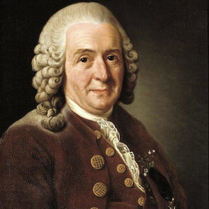 carl_von_linne.jpg