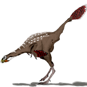 caudipteryx2mmartyniuk.png