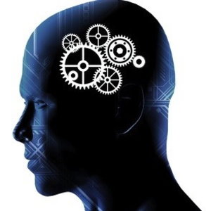 cerveau-engrenages.jpg