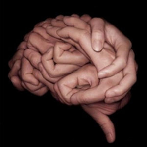 cerveau-main.jpg