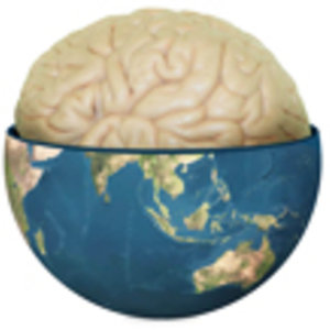 cerveau-terre.jpg
