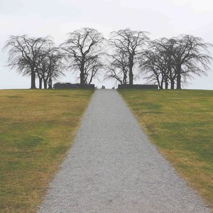 chemin.jpg