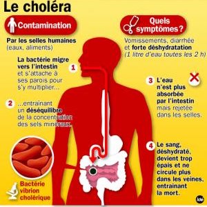 cholera.jpg