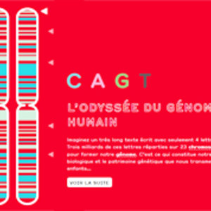 chromosome-walk.jpg