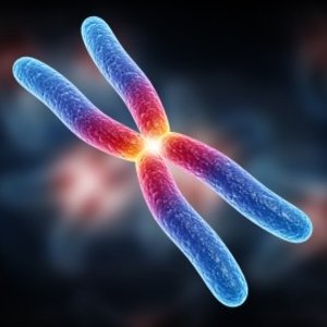 chromosome_-_blogue.jpg