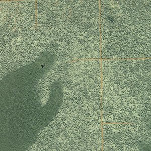 congo_deforestation_jesseallen_nasa_wc.jpg