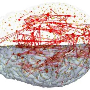 connectome.jpg